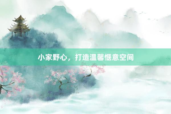 小家野心，打造温馨惬意空间