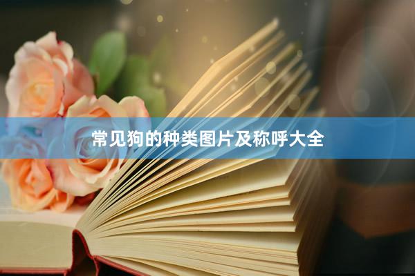 常见狗的种类图片及称呼大全