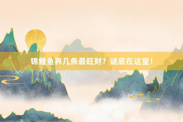 锦鲤鱼养几条最旺财？谜底在这里！