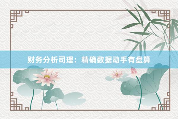 财务分析司理:精确数据动手有盘算